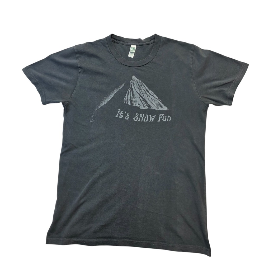 Royal Apparel It's Snow Fun T-Shirt Gray Graphic Organic Cotton‎ Made in USA